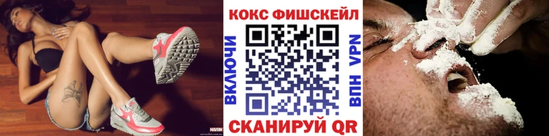 продажа наркотиков  MEGA   Cocaine VHQ  Сясьстрой 