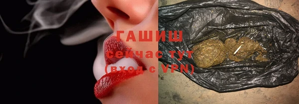 СК Пересвет