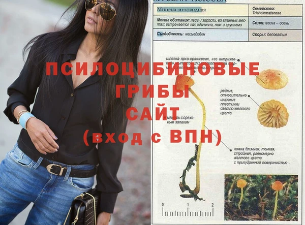 каннабис Абинск